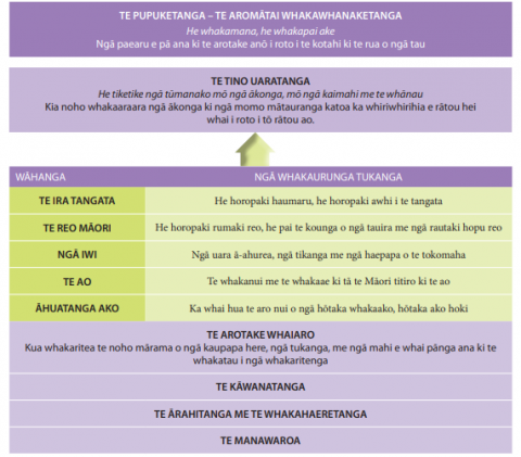 This diagram shows the criteria for Te Pupuketanga development evaluation.