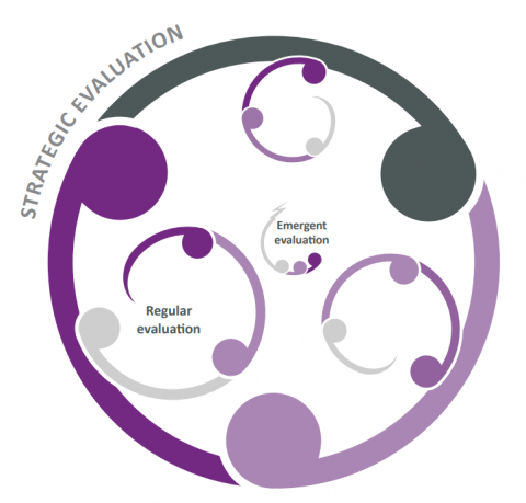 This diagram shows the three types of evaluation: Strategic, Regular and Emergent.