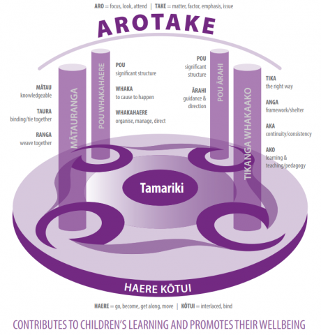 This diagram shows the Pou, the significance of the words in te reo Māori and their connections to Te Ao Māori, and how the principles of partnership (Haere Kōtui) and evaluation (Arotake) connect and support the Pou.