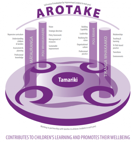 This diagram shows what each Pou represents in the review process. It also shows the connecting element, of Arotake, overarching the Pou framework.