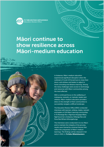 Te Kahu Whakahaumaru: Māori continue to show resilience across Māori-medium education cover