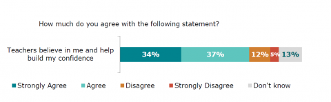 Figure twenty-nine is a graph showing disabled learners’ agreement with the statement ‘ Teachers believe in me and help build my confidence’. Thirty-four percent strongly agreed. Thirty-seven percent agreed. Twelve percent disagreed. Five percent strongly disagreed. Thirteen percent reported they did not know.