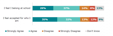 Figure 63: Māori disabled learners’ sense of wellbeing and belonging at school: Disabled learner survey