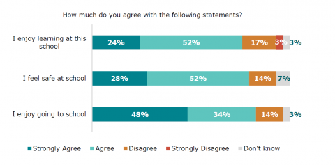 Figure 66: How Pacific disabled learners feel about school and learning: Disabled learners survey