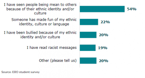 Figure 27: learners’ experiences of racist bullying and racism 