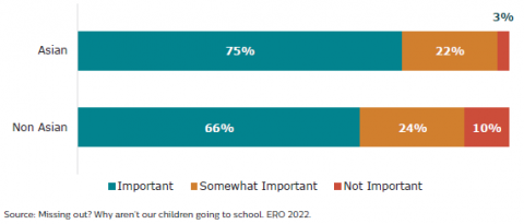 Figure 38: Learners’ opinion of how important it is to attend school every day - Asian and non-Asian