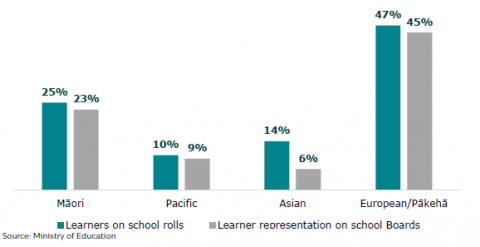 Figure 46: Learner representation on school Boards: 2020