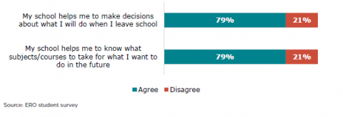 Figure 51: secondary learners’ experience with school support on advice for future learning/ work 