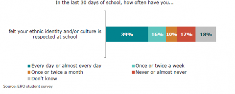 Figure 60: How often learners feel ethnic identity and/or culture is respected at school   