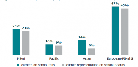 Figure 38: Learner (Year 9 – 13) representation on School Boards (2020)
