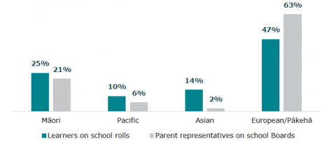 Figure 40: Ethnicity of parent representatives on Boards (2020)