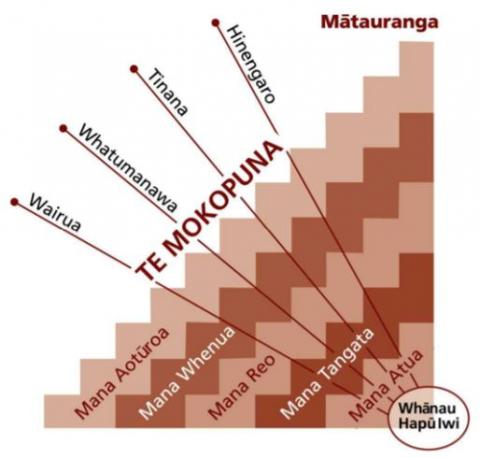 Evaluation Indicators For Education Reviews In Kohanga Reo Figure 1