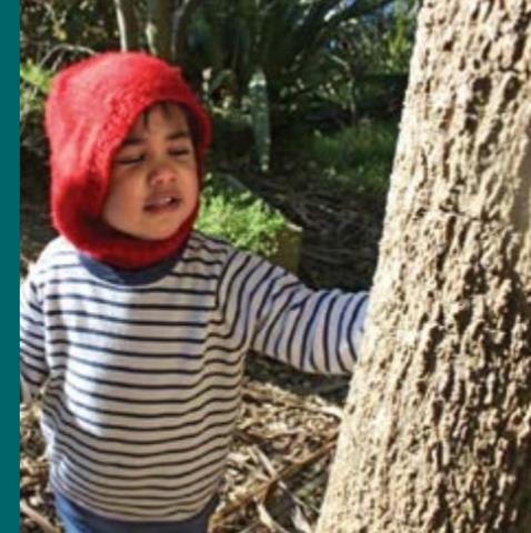 A young child with a red hood touches a tree.