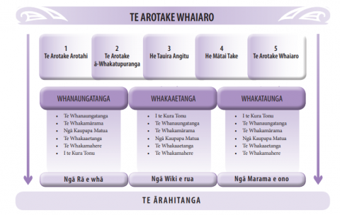 This diagram sets out the options for review in the Te Manakotanga enrichment evaluation.