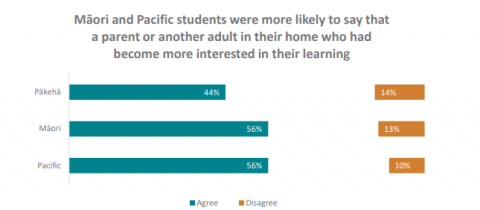 Figure 15 is a graph showing the percentage of students who agreed or strongly agreed that ‘in my home, there is a parent or other adult who has become more interested in my learning this term’, by ethnicity. 