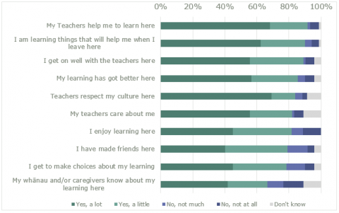 Figure 2 shows strip graphs of the students’ experiences of learning from the survey responses.