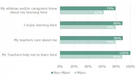 Figure 5 shows the largest differences between Maori and non-Maori students’ responses for 4 statements in the student survey. 