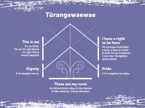 This diagram resembles a wharenui and is used to illustrate the importance of turangawaewae in creating a sense of identity and belonging for learners. It highlights that understanding and connecting to turangawaewae gives learners their roots, and enhances pride and dignity in being Māori.