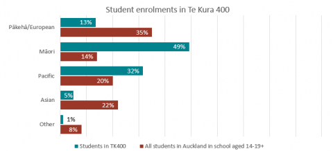 Student enrolments in Te Kura 400