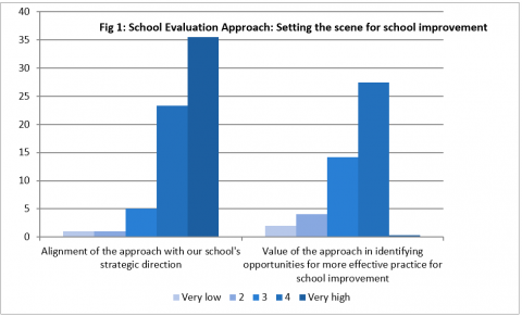 Figure 1: Setting the scene for school Improvement