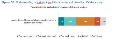 Figure 53: Understanding of mātauranga Māori concepts of disability: Kaiako survey