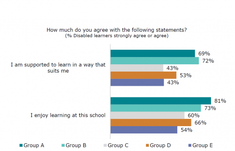 Figure 19: Disabled learners’ view of learning at school: Disabled learner survey