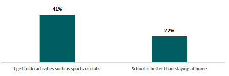 Figure 38: Percentage of students identifying fun activities as reasons for wanting to go to school