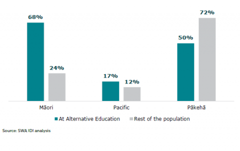 Figure 1: Ethnicity: Alternative Education participants and the rest of the population