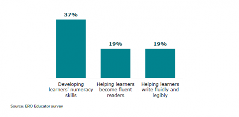 Figure 40: Educators who identified numeracy, reading, and writing as a strength