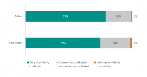 Figure 35: Percentage of Māori and non-Māori new principals who feel confident